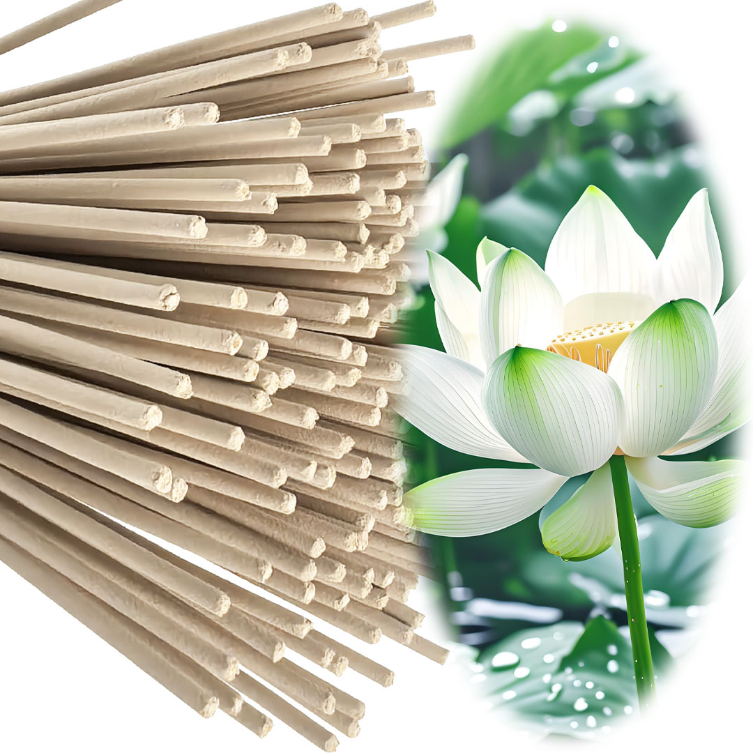 ธูปหอมดอกบัวสีขาวคุณภาพสูง ขนา - Candle Making Los Angeles บทวิจารณ์และราคา