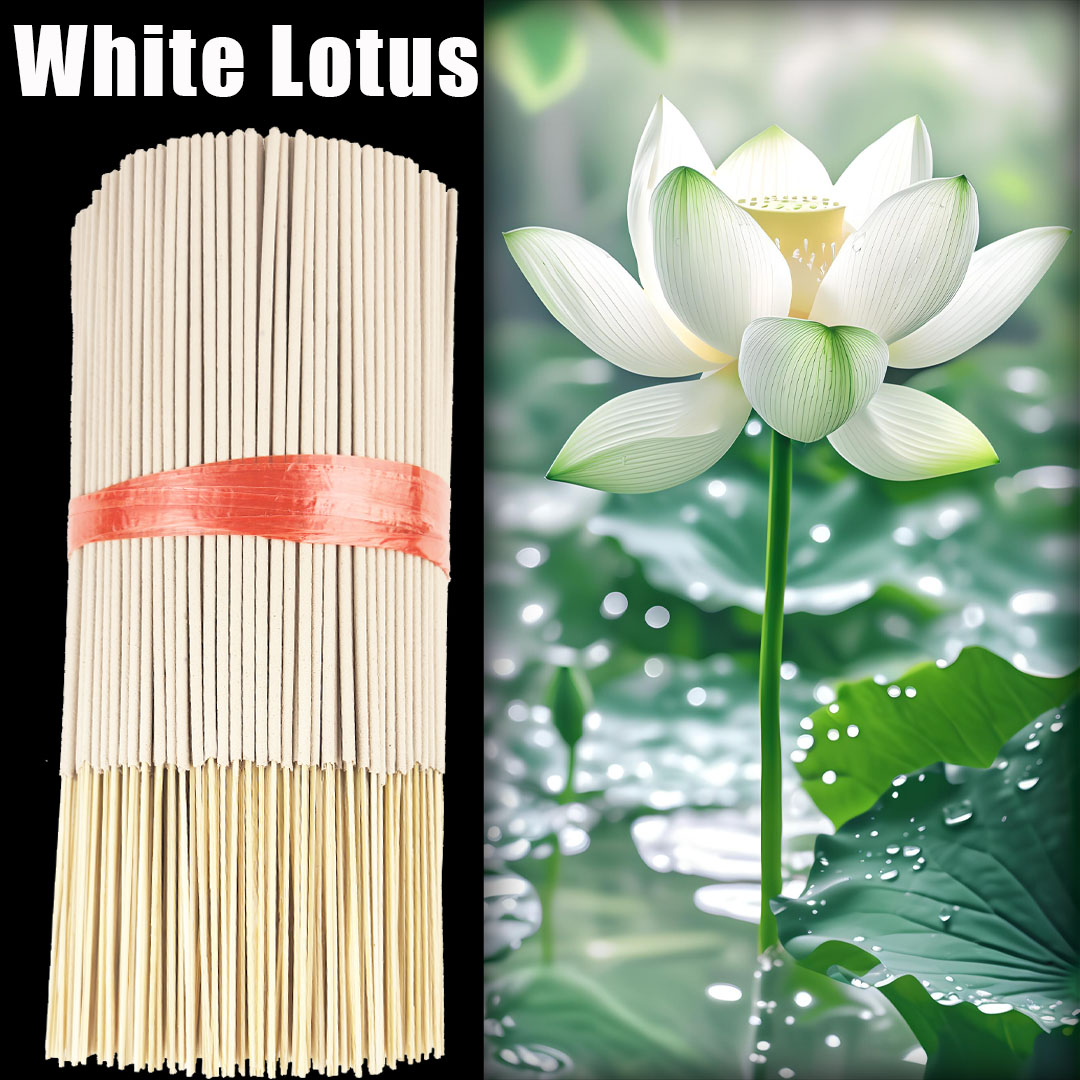 ธูปหอมดอกบัวสีขาวคุณภาพสูง ขนา - Candle Making Los Angeles บทวิจารณ์และราคา