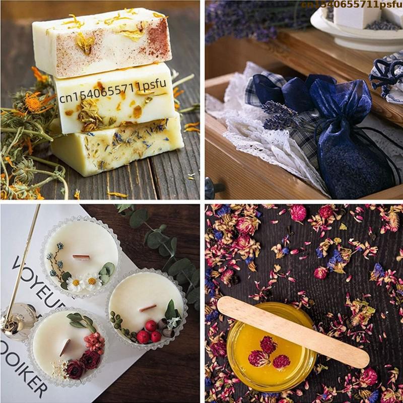ดอกกุหลาบแห้งคุณภาพสูง 4 ชนิด  - Candle Making Los Angeles บทวิจารณ์และราคา