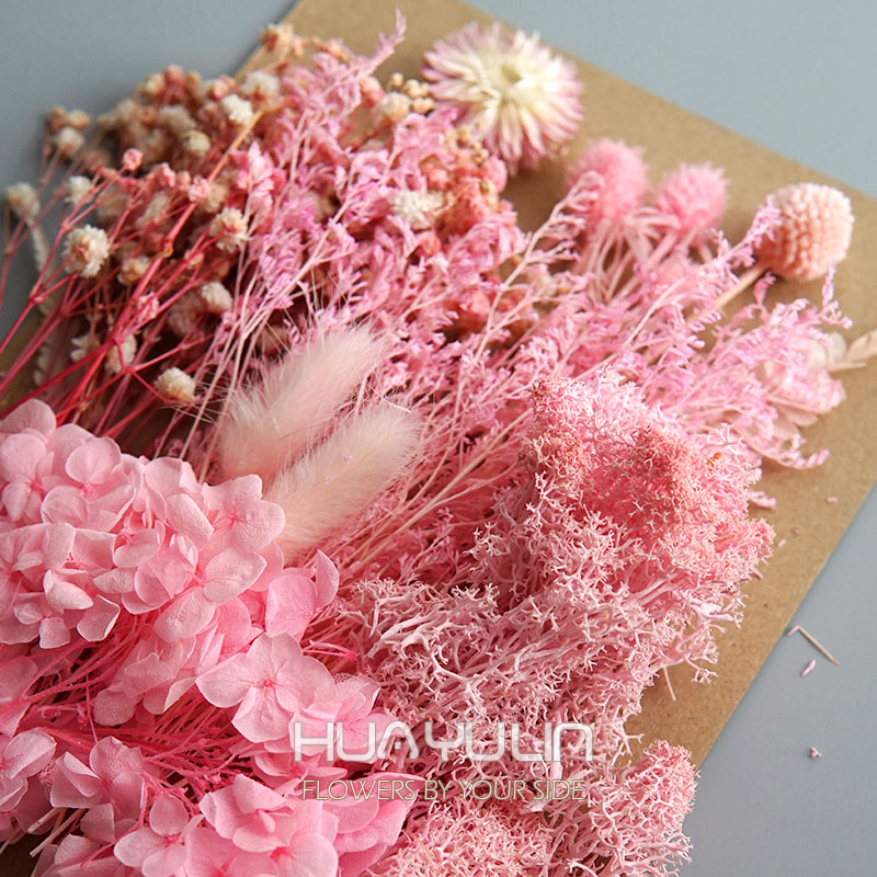 1 แพ็คพืชประดิษฐ์แห้งดอกไม้จริ - Candle Making Los Angeles บทวิจารณ์และราคา